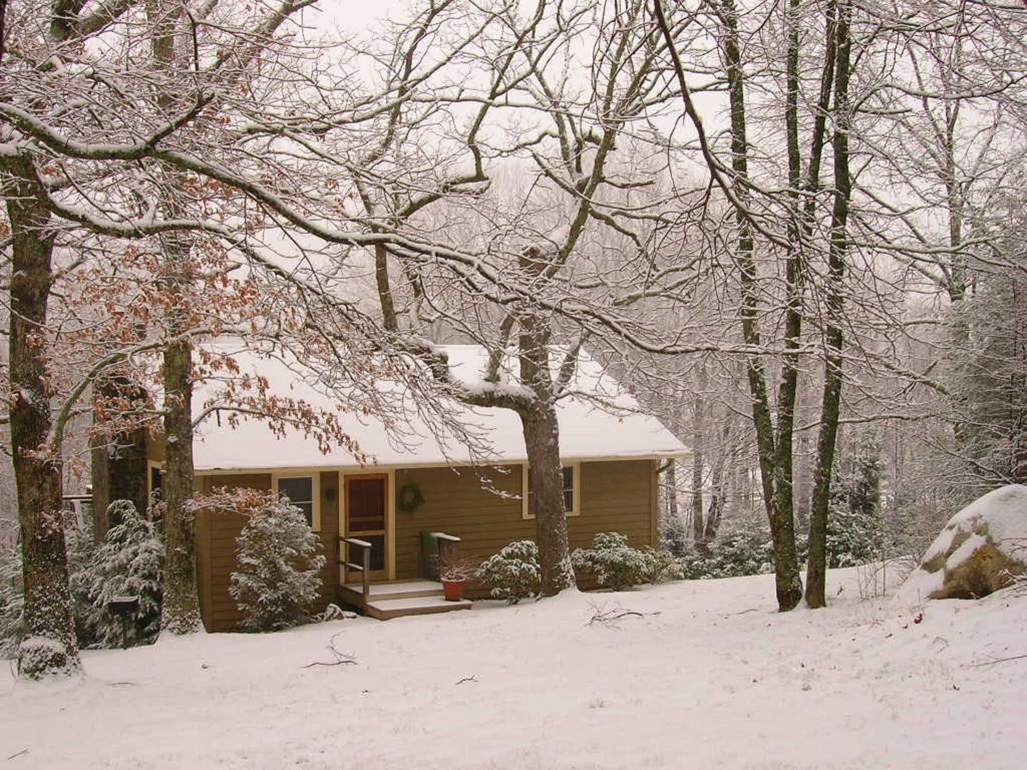 Fire Mountain Inn Cabins & Treehouses Scaly Mountain Kültér fotó